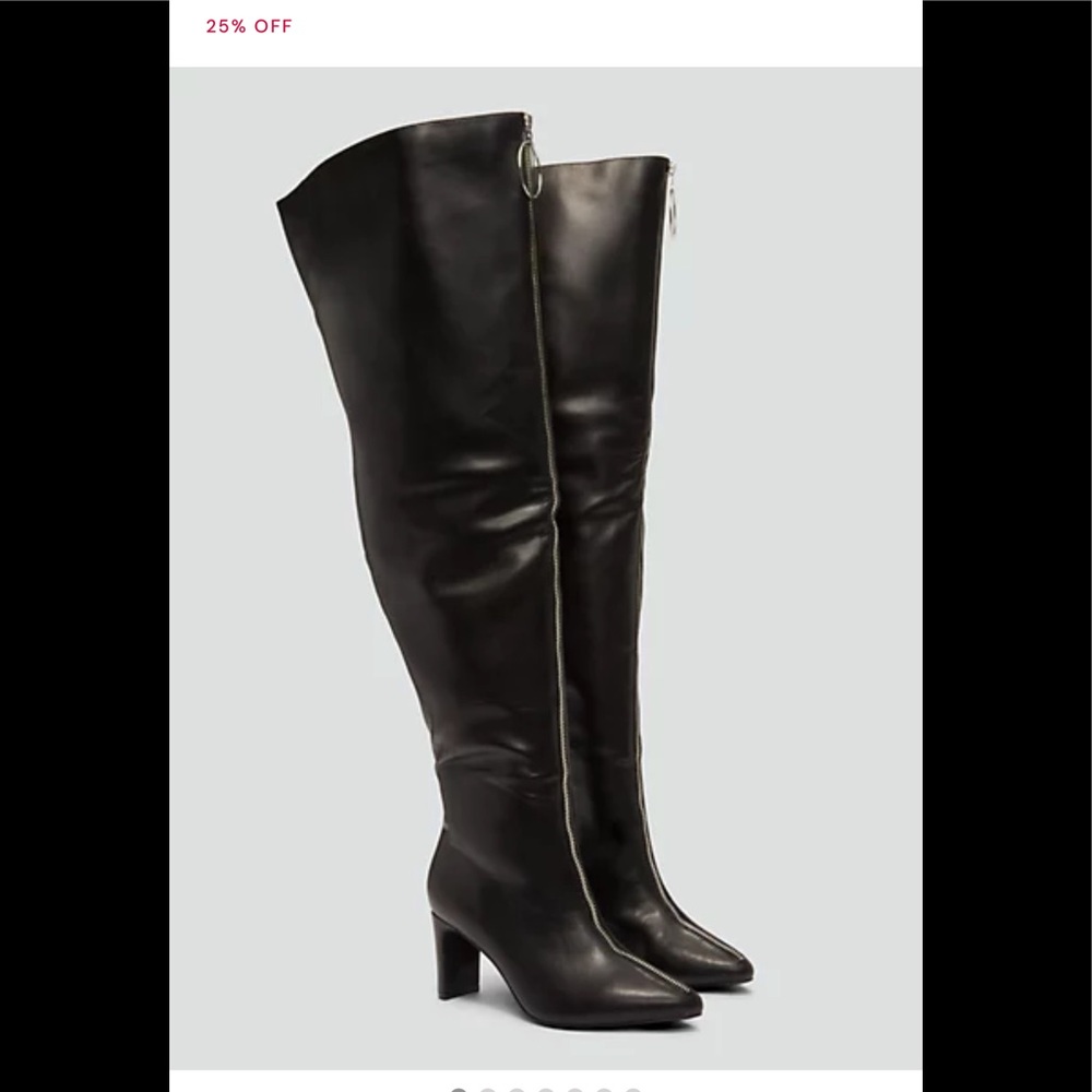 Thigh High Boots (Brand New)